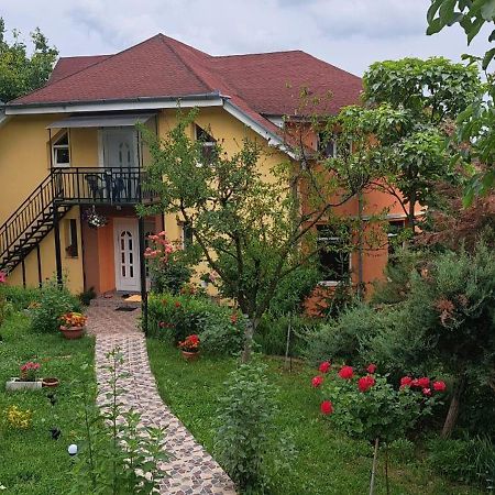 Casa Liana Ξενοδοχείο Oradea Εξωτερικό φωτογραφία