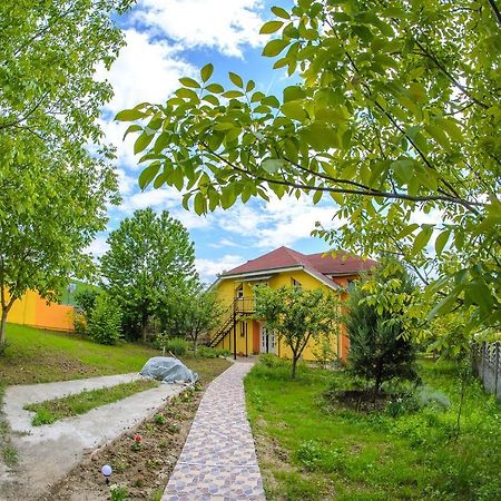 Casa Liana Ξενοδοχείο Oradea Εξωτερικό φωτογραφία
