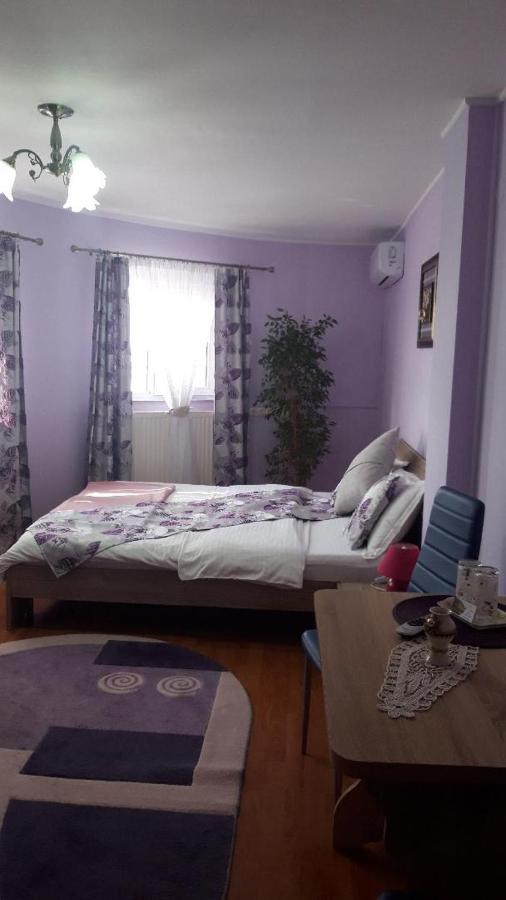 Casa Liana Ξενοδοχείο Oradea Εξωτερικό φωτογραφία
