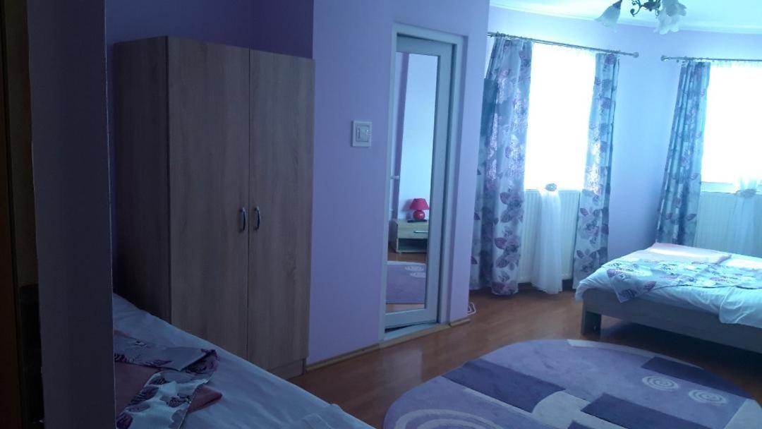 Casa Liana Ξενοδοχείο Oradea Εξωτερικό φωτογραφία