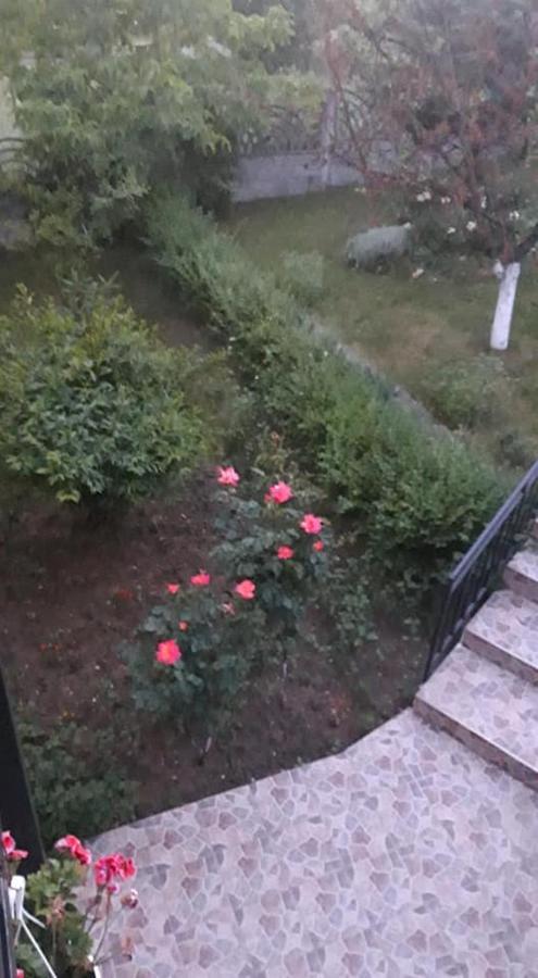 Casa Liana Ξενοδοχείο Oradea Εξωτερικό φωτογραφία