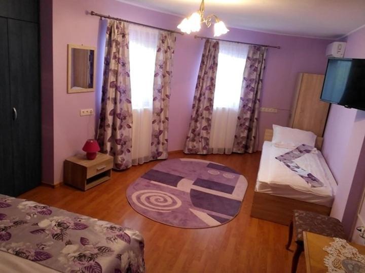 Casa Liana Ξενοδοχείο Oradea Εξωτερικό φωτογραφία
